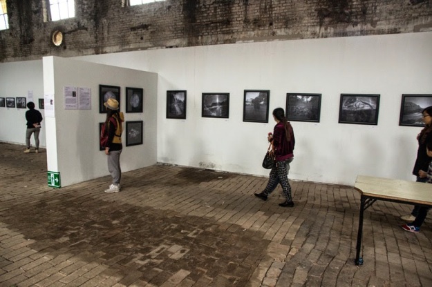 Jenny Tomlin's pinhole exhibition 'Life Beyond the Lens', PIP 2014